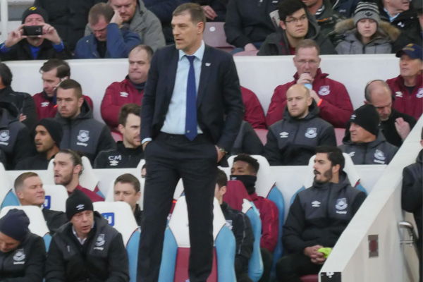 Bilic 600x400