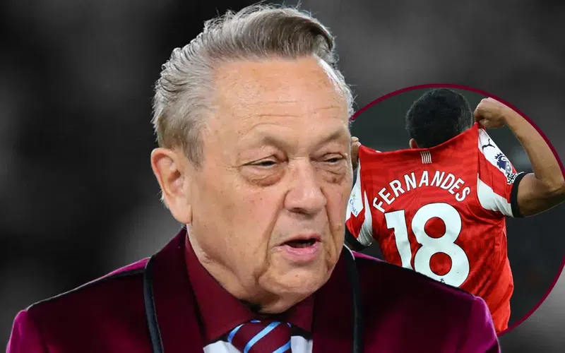 Image for Stinging Small Print Detail Sours West Ham Fernandes Deal