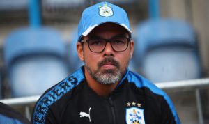 Huddersfield-boss-David-Wagner-838535