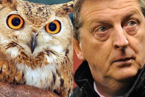 Roy and the Owl