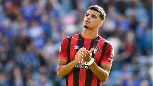 Coventry 0-3 Bournemouth: Dominic Solanke's double edges Cherries closer to  Premier League, Football News